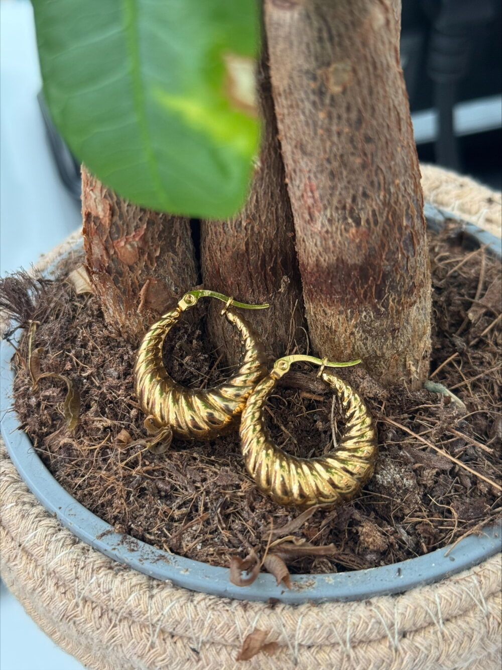 CORAL GOLD HOOPS