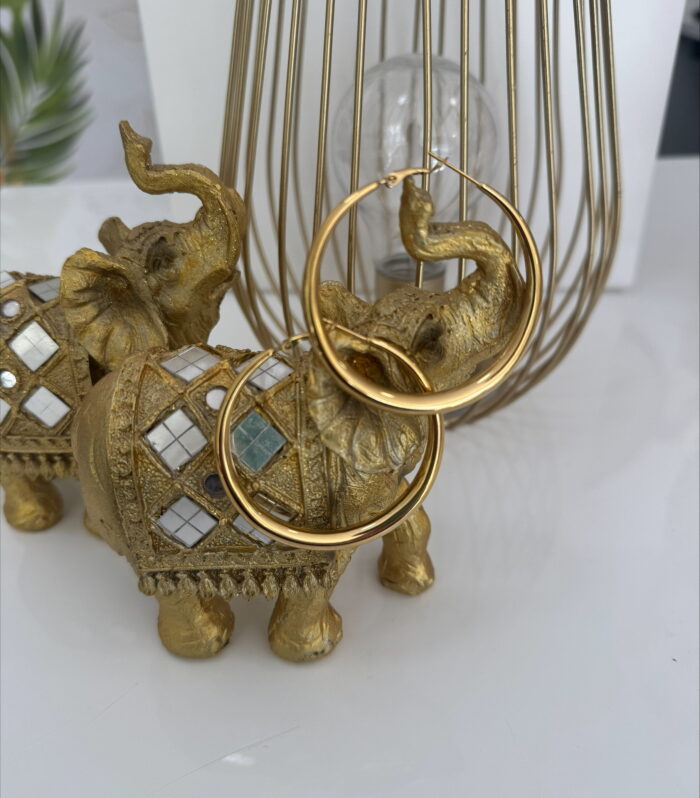 ELECTRA  GOLDEN HOOPS